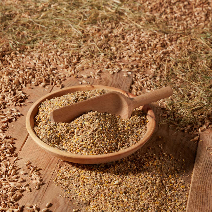 Landleben Freiland Legemehl